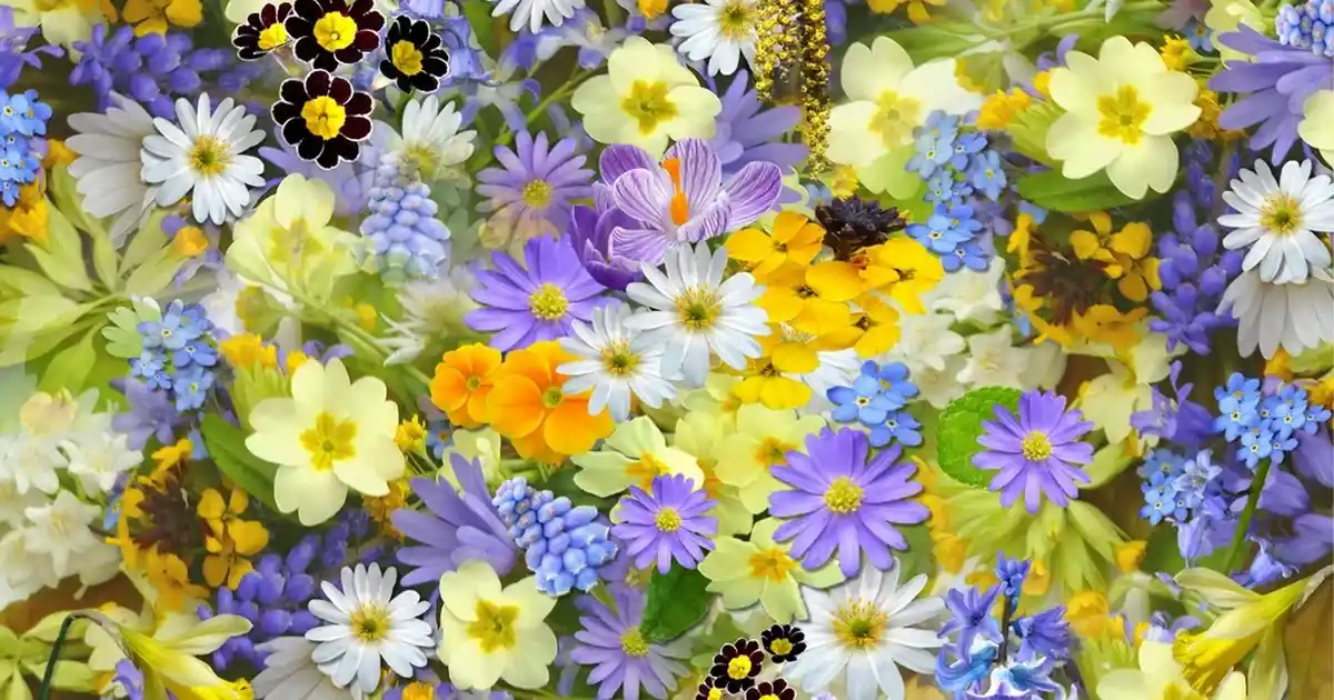 Mumlukların Dekorasyondaki Rolü ve Seçim Rehberi