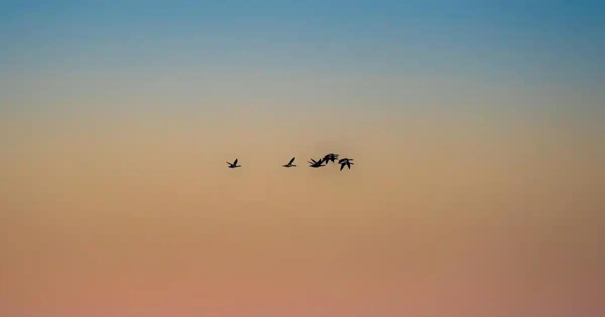 Mutfak Dekorasyonunda Spagetti Kaşığı Kullanımı ve Yaratıcı Fikirler