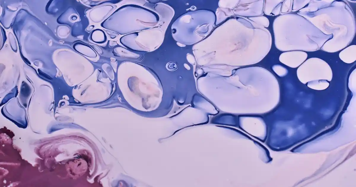 Mutfak Matları ile Dekorasyon ve Fonksiyonelliği Bir Arada Sağlama Rehberi