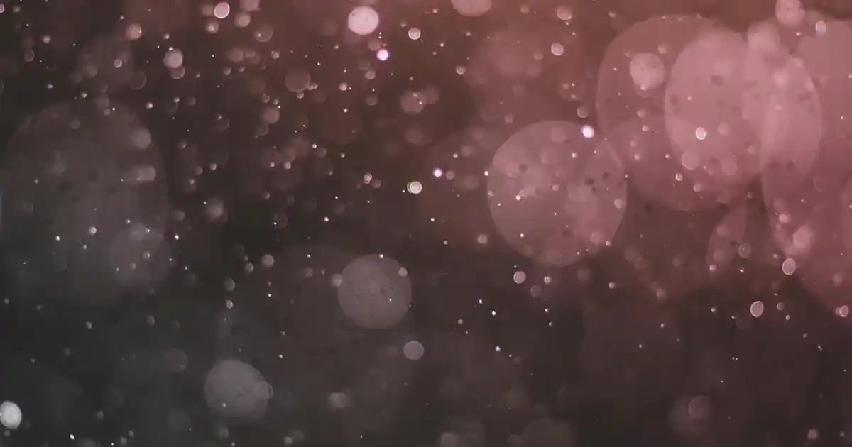 Mutfak Örtüsü Takımlarıyla Dekorasyonunuzu Yenileyin Şıklık ve Fonksiyonellik Bir Arada