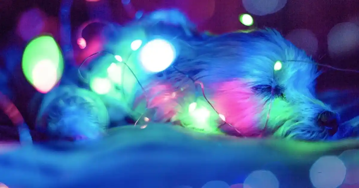 Mutfak Standları Seçimi ve Dekorasyonda İşlevsellik ile Estetiğin Birleşimi