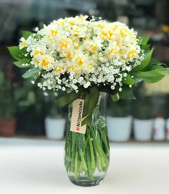 Nergis Çiçeği ile Dekorasyonda Zarif ve Doğal Dokunuşlar