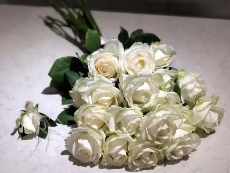 Nikah Çiçeği Dekorasyonunda Zarafet ve Anlamlı Seçenekler Hakkında Kapsamlı Rehber