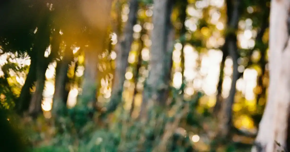 Noel Kapı Süsü Dekorasyon Trendleri ve Yaratıcı Fikirler 2023