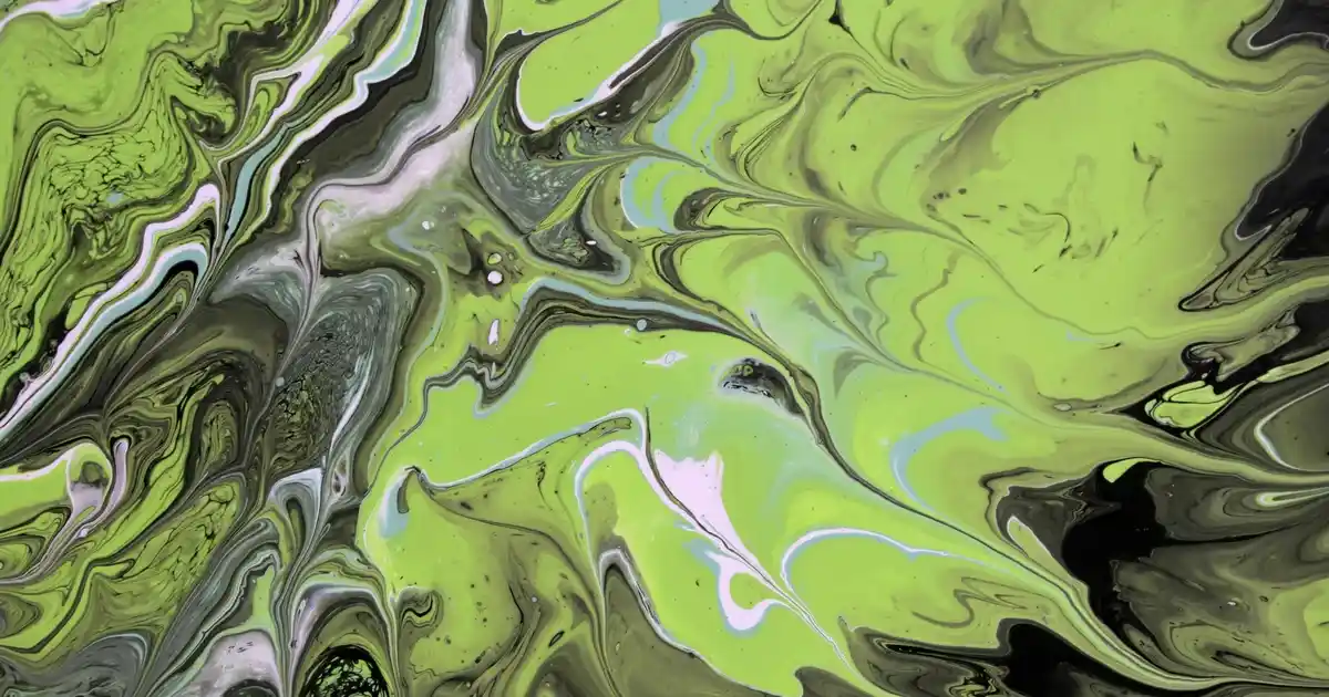 Ofis Dekorasyonunda Kupa Seçimi ve Dekoratif Kullanım İpuçları