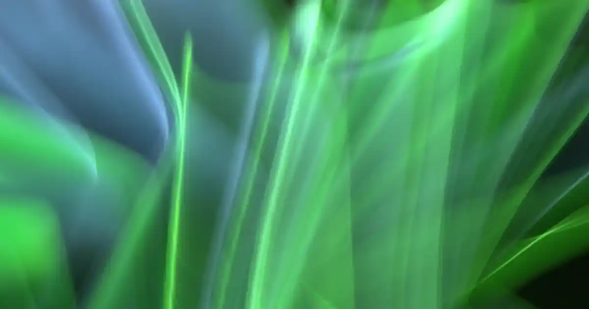 Orkide Benzeri Çiçekler ve Dekorasyonda Kullanım İpuçları