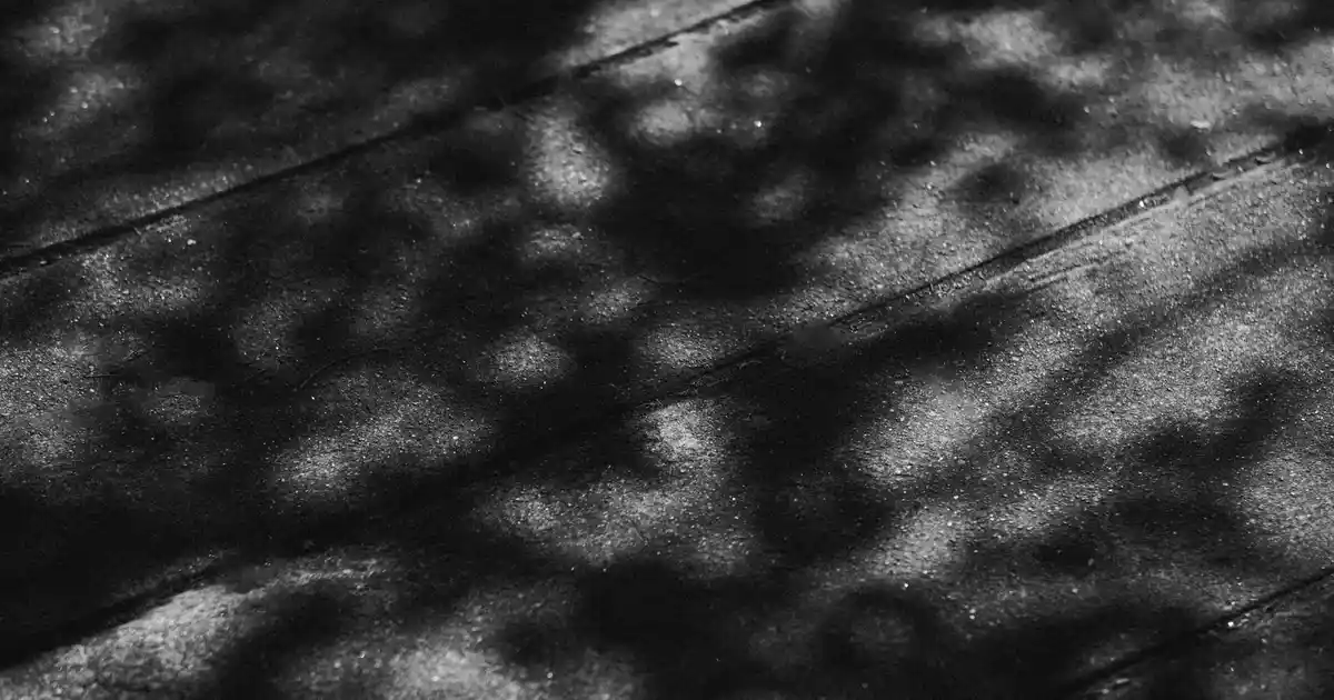 Orkide Buketleri ile Şık ve Zarif Dekorasyon Fikirleri ve Kullanım İpuçları