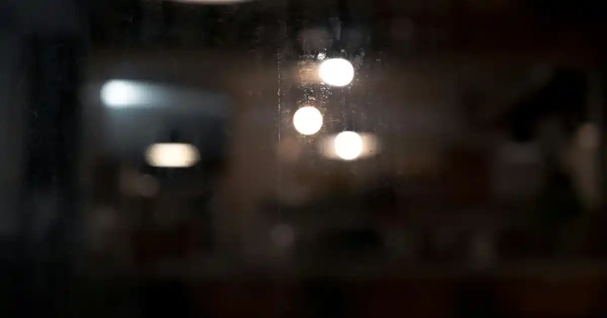 Orkide Çiçeğiyle Dekorasyonda Zarafeti Yaratmanın En İyi Yolları