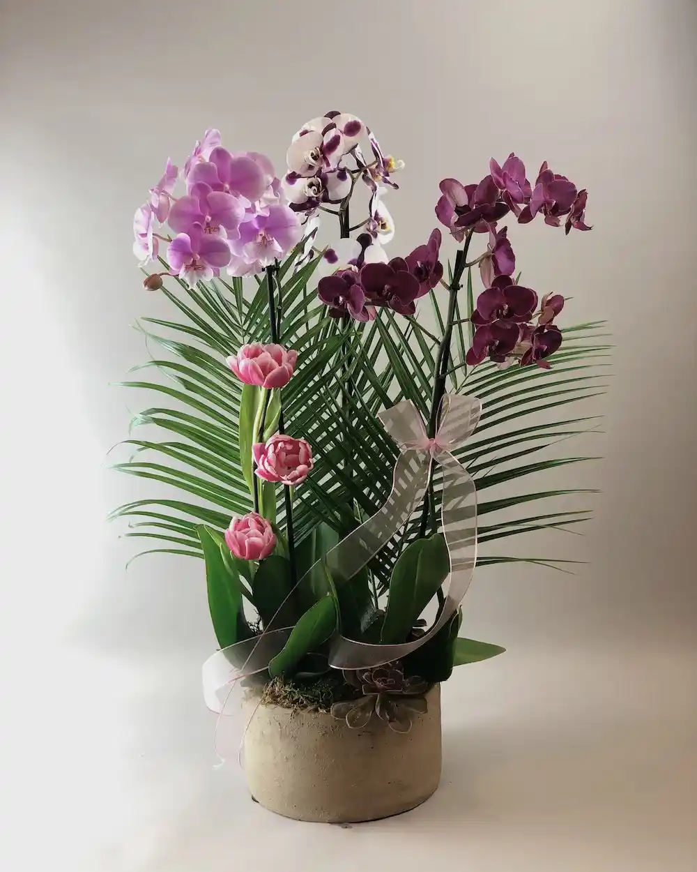 Orkide Dekorasyonunda Zarafet ve Doğallık: İç ve Dış Mekanlar İçin Bakım Rehberi