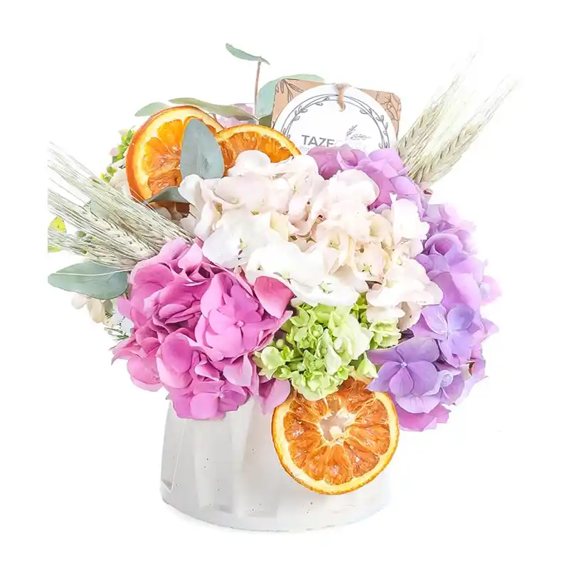 Ortanca Çiçeği ile Evinize Zarafet Katacak Dekorasyon Fikirleri ve Bakım İpuçları