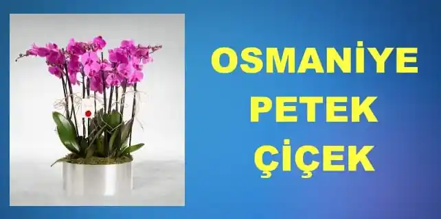 Osmaniye’de Dekorasyon ve Çiçekçilik Hizmetleriyle Mekanlara Estetik Dokunuşlar