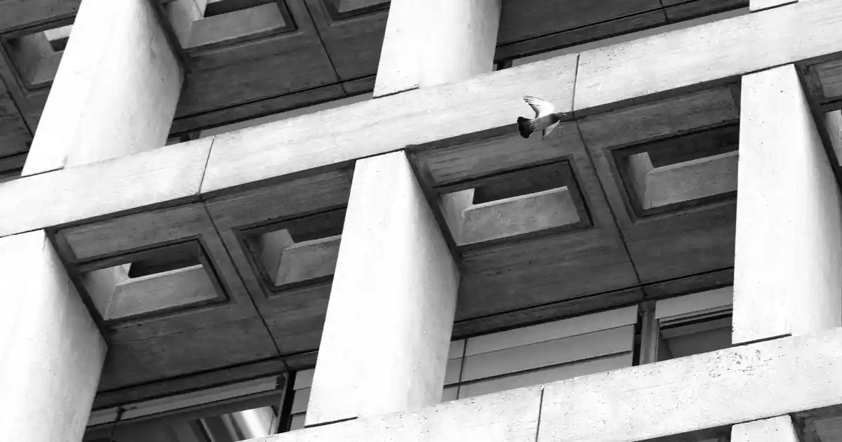 Oval Paspaslar Dekorasyonda Şıklık ve Fonksiyonellik Sağlayan Zarif Seçenekler