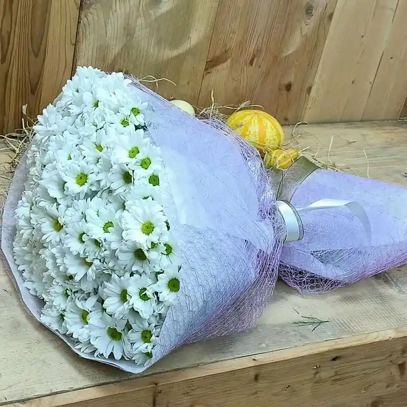 Papatya Demetiyle Doğal ve Şık Ev Dekorasyonu Fikirleri ve Uygulamaları