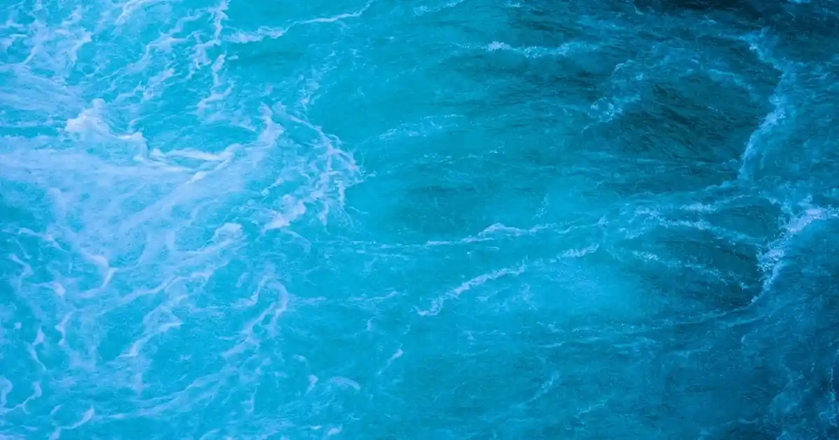 Paşabahçe Porselen Yemek Takımıyla Dekorasyonunuzu Şıklıkla Tamamlayın