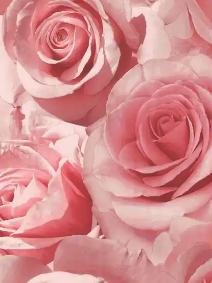 Pembe Gül Duvar Kağıdıyla Dekorasyonda Zarafet ve Romantizmin Buluşması