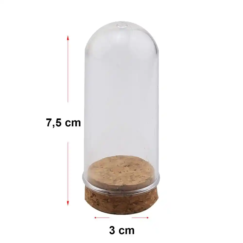 Plastik Fanus Dekorasyon Fikirleri ve Kullanım Alanları Güncel Trendler