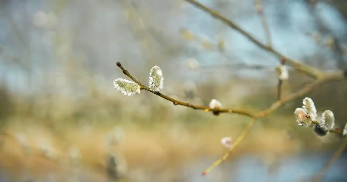 Plastik Kepçe ile Dekorasyonda Yenilikçi ve Pratik Fikirler ve Uygulamalar
