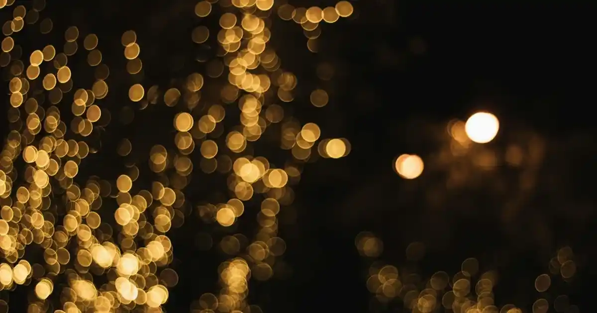 Porselen Borcam ile Dekorasyon ve Fonksiyonellikte Yeni Trendler