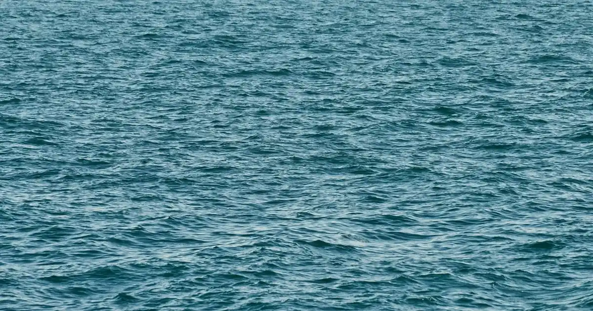 Porselen Çaydanlık Üstü Dekorasyon İpuçlarıyla Şıklığı Yakalamak ve Mekânlara Zarafet Katmak