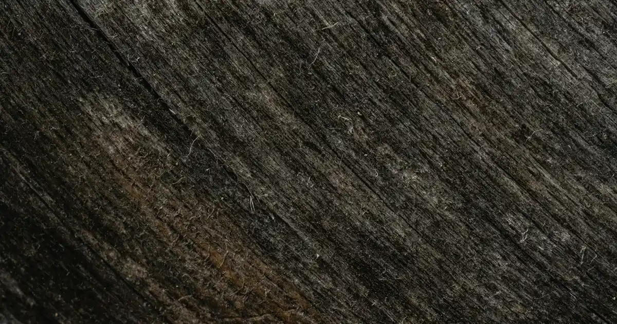 PVC Kaplama ile Modern Dekorasyon Çözümleri ve Trendler 2024