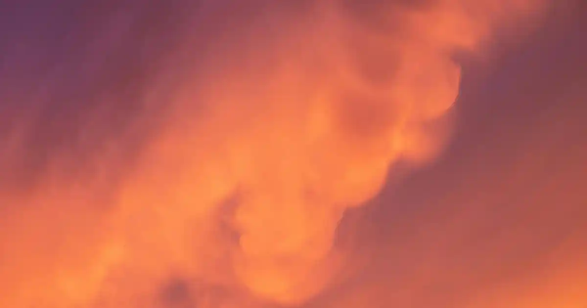 Rattan ile Dekorasyon: Doğal ve Şık Mutfak Mobilyası Seçenekleri ve Bakım İpuçları