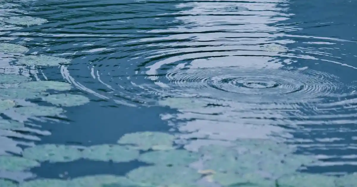 Rattan Peçetelik ile Doğal ve Şık Sofra Dekorasyonu Seçenekleri