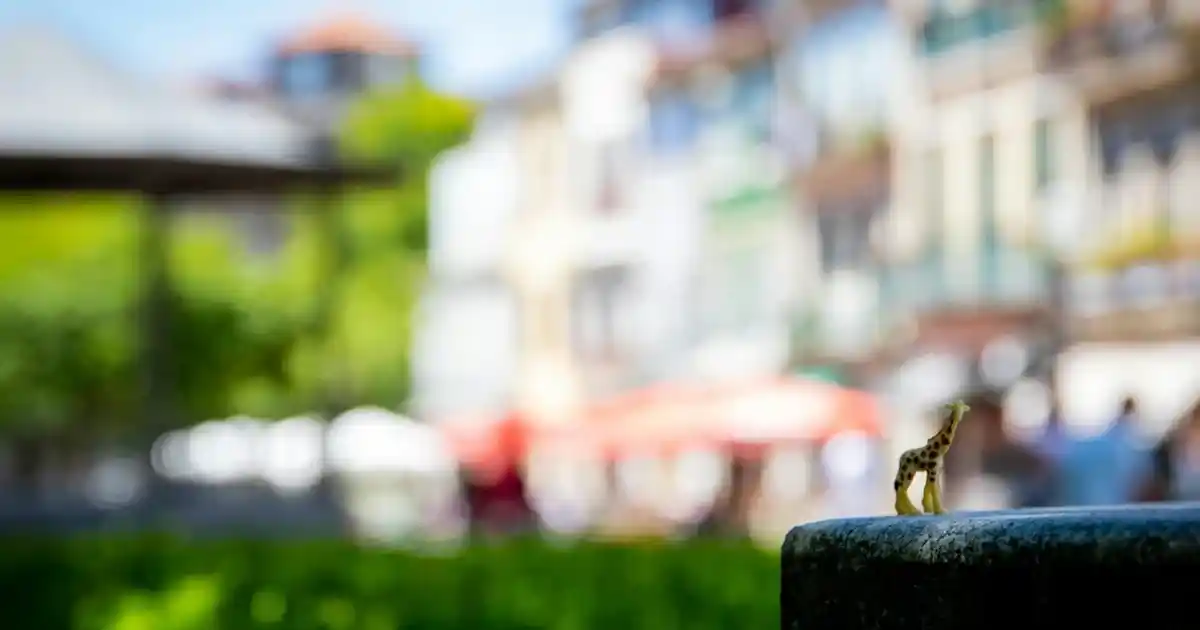 Rattan Yemek Masası: Doğal Şıklık ve Sürdürülebilirlik ile Dekorasyonunuza Yenilik Katın