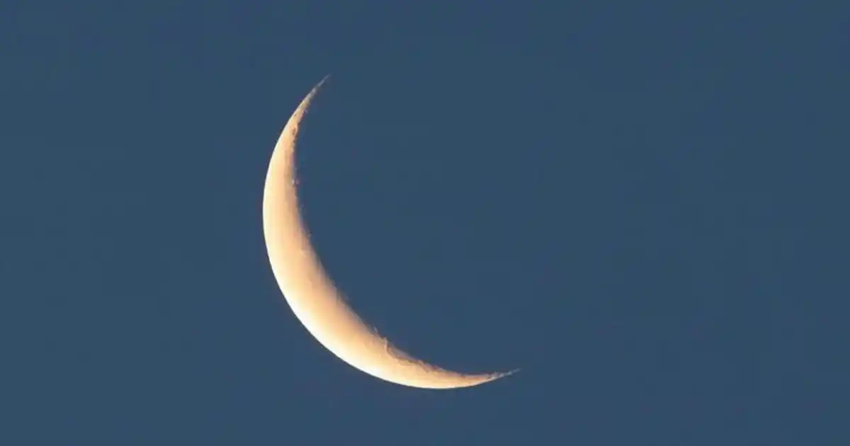 Şahmeran Temalı Dekorasyon ve Fincan Takımları: Mitolojiden İlham Alan Tasarımlar