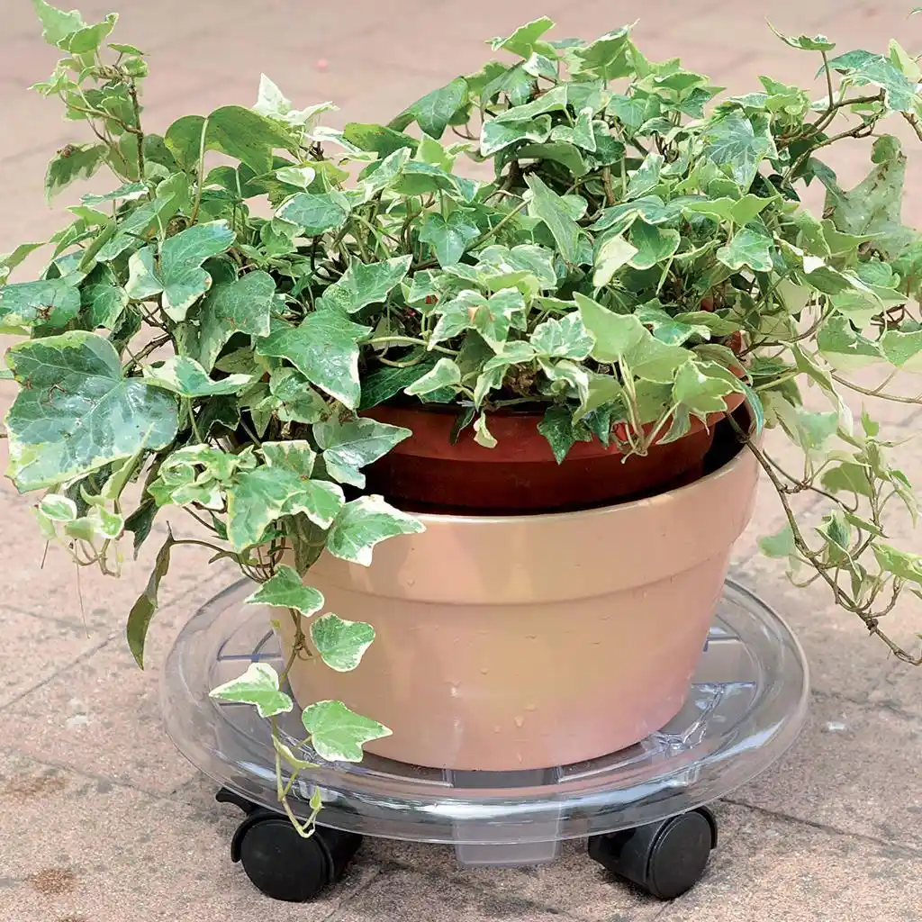 Saksı Altlığı Seçimi ve Dekorasyonda Kullanım İpuçları