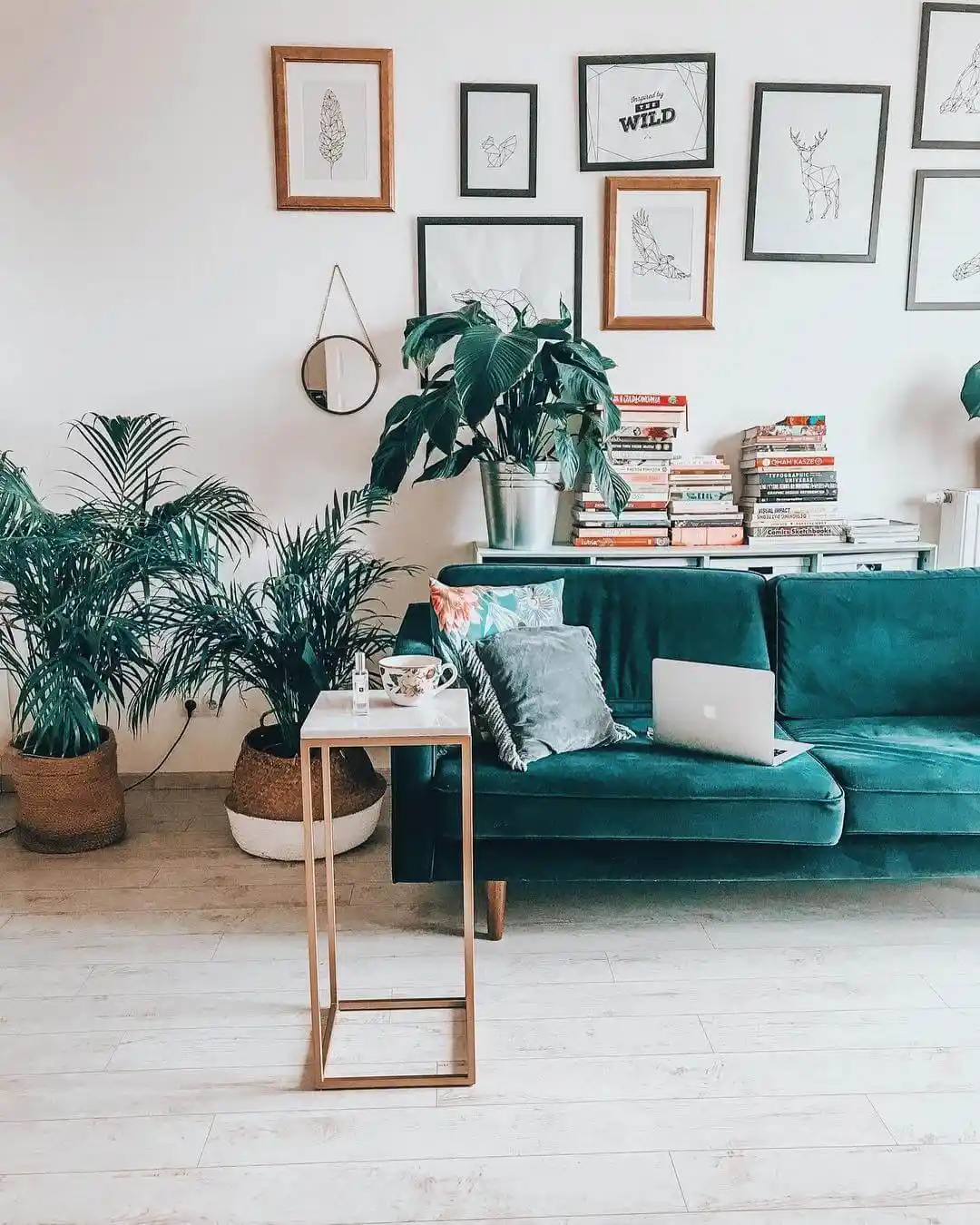 Salon Dekorasyonunda Çiçek Seçenekleri ve Estetik Bitki Kullanımı Rehberi