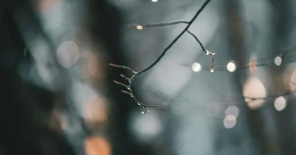 Salon Dekorasyonunda Şık ve İşlevsel Kilim Modelleri ve Dekorasyon İpuçları