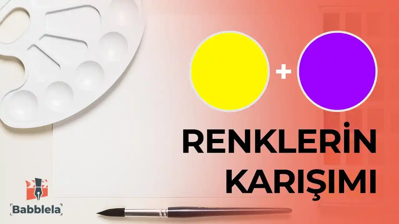 Sarı ve Mor Renklerinin Dekorasyonda Kullanımı ve Renkli Etkileri