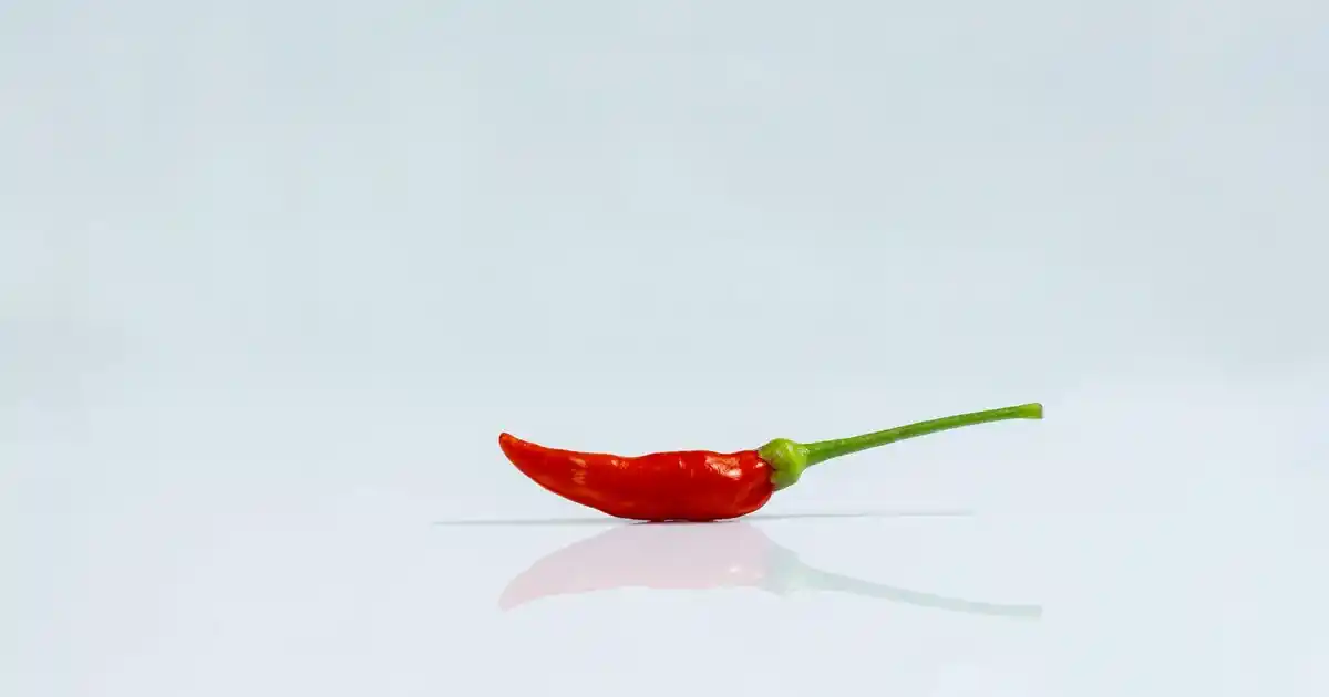 Schafer Banyo Paspası ile Dekorasyonda Şıklık ve Güvenlik Sağlama Rehberi