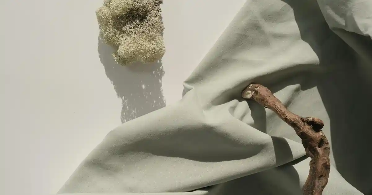 Şeffaf Cam Sarkıt Avize ile Modern ve Şık Dekorasyon Çözümleri