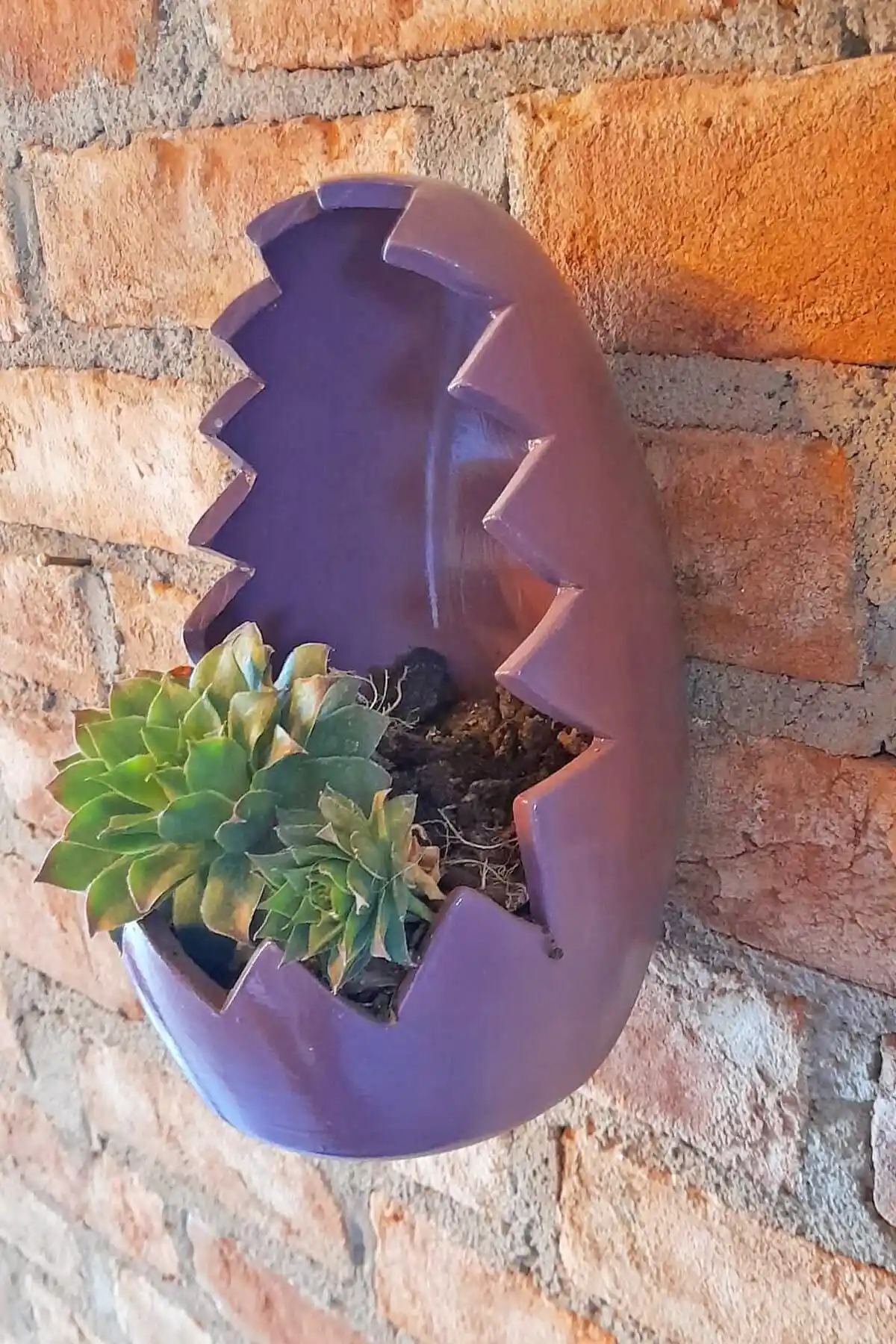 Seramik Duvar Saksıları ile Mekânlarınıza Estetik ve Dayanıklı Dekorasyon Çözümleri