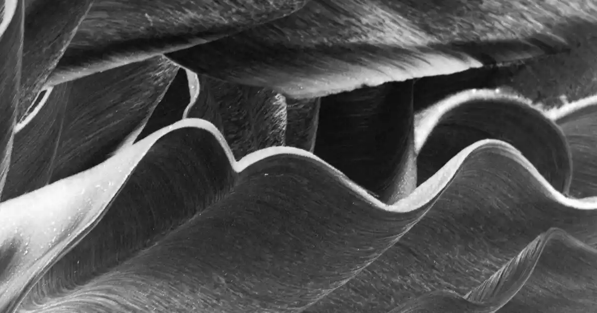 Sevgili Saatleri ile Dekorasyonda Duygusal ve Şık Dokunuşlar