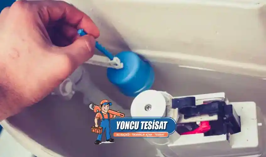 Sifon Şamanırası: Modern Dekorasyonda İşlevsellik ve Estetiğin Birleşimi