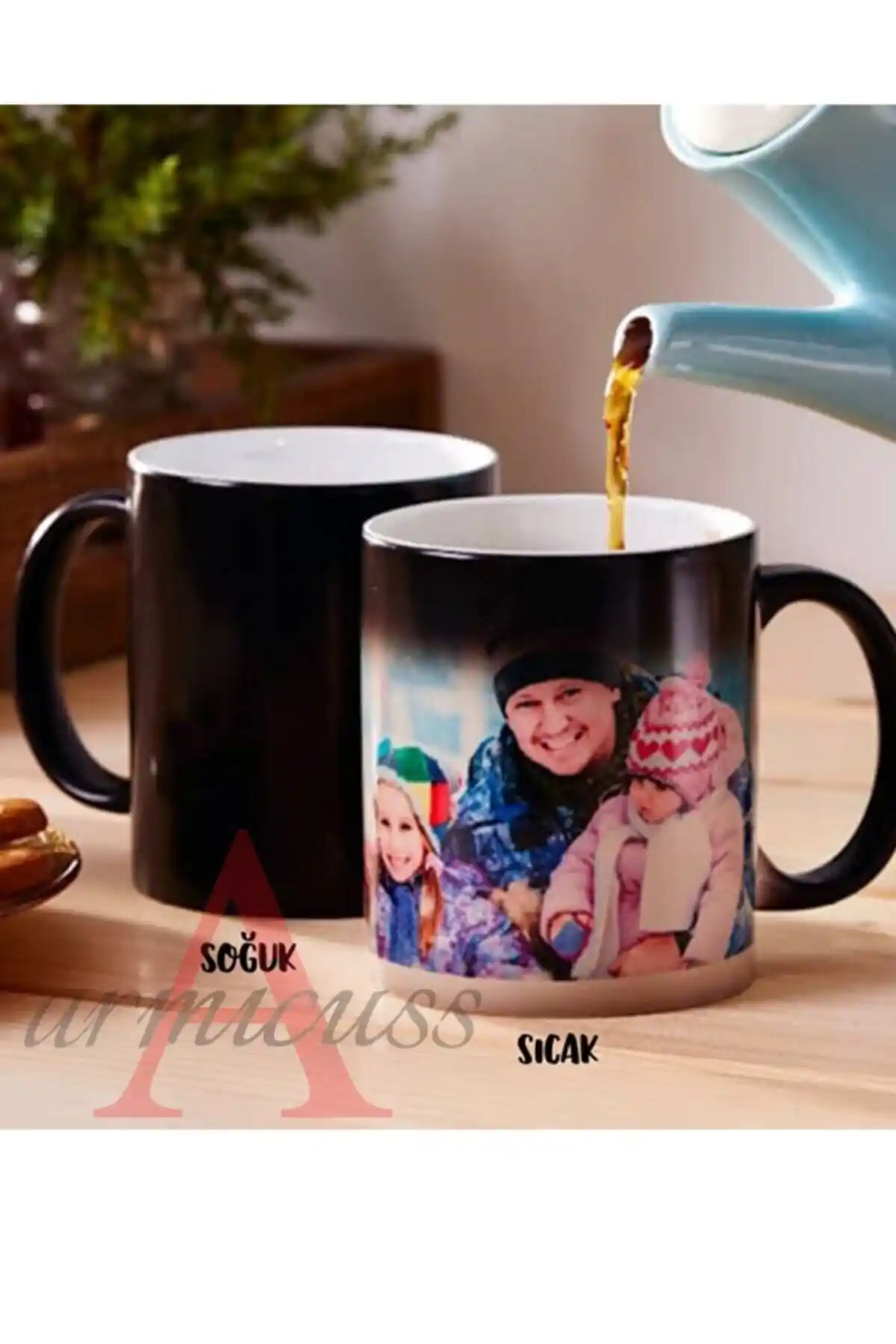 Sihirli Bardak ile Yenilikçi Dekorasyon Çözümleri ve Estetik Dokunuşlar