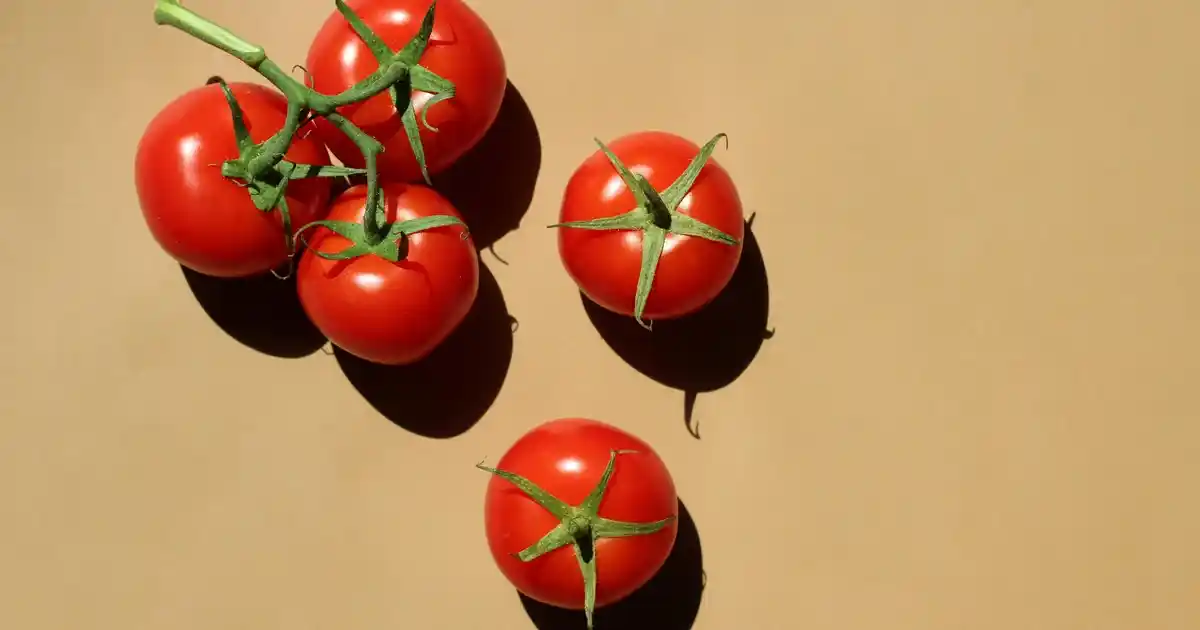 Sıvı Sabunluk Setleri ile Ev Dekorasyonunuza Şıklık ve Fonksiyonellik Katın