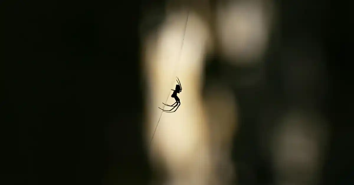 Siyah Hasır Supla ile Dekorasyonunuza Modern ve Şık Dokunuşlar Katın