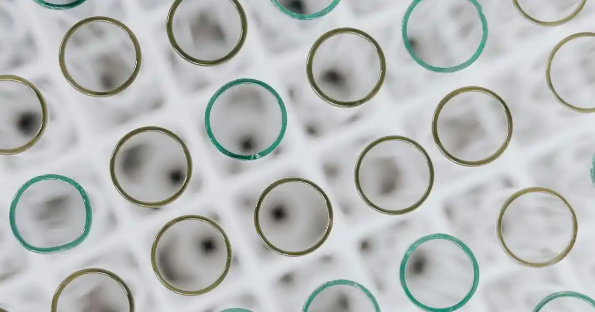 Siyah Metal Çerçeveli Aynalar: Modern ve Şık Dekorasyon İçin En İyi Seçenekler