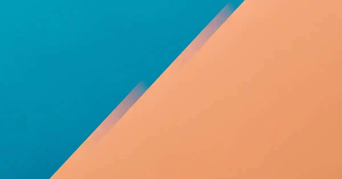 Standart Vestiyer Ölçüleri ve Dekorasyonda Uygun Seçenekler Hakkında Bilgilendirme