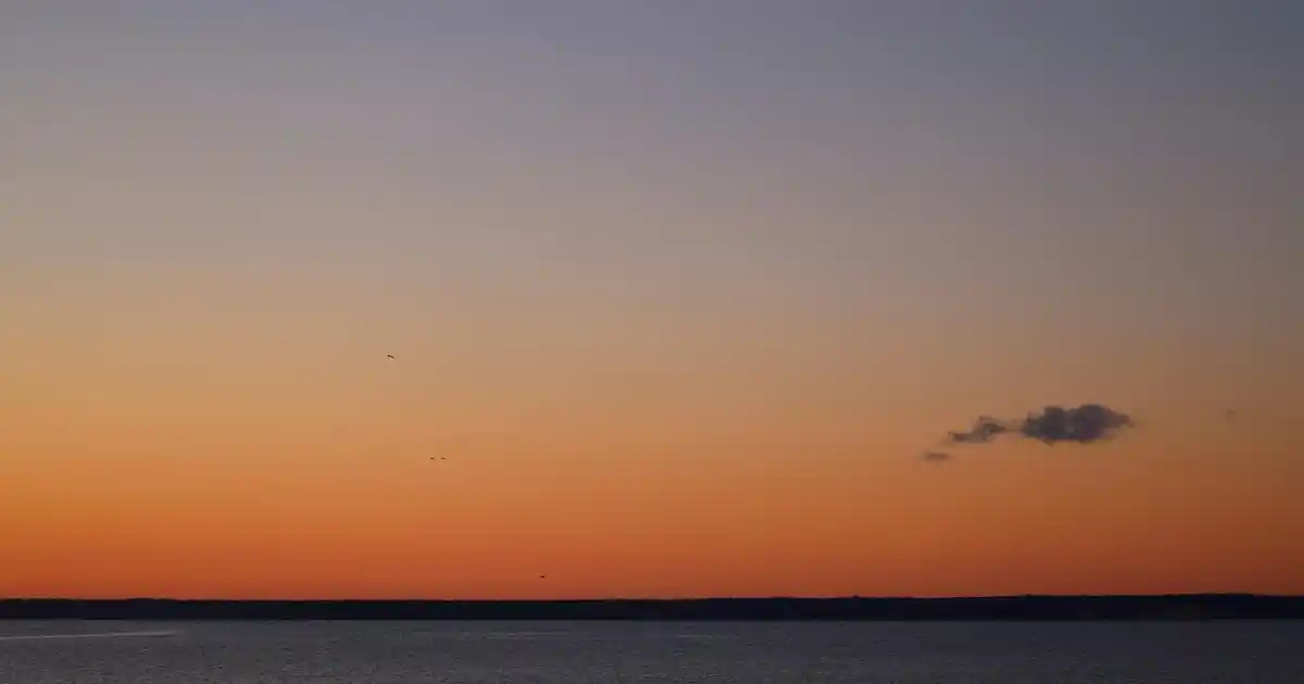 Sünger Boyunluklar: Sağlık ve Dekorasyon İçin Çok Yönlü Çözüm Alternatifleri