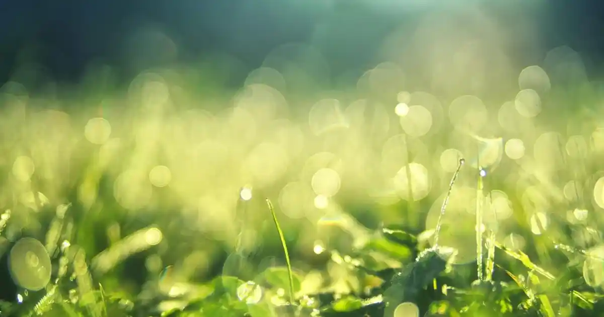 Swiss Crystal Tava ve Tencere Serisi ile Modern ve Şık Mutfak Dekorasyonu