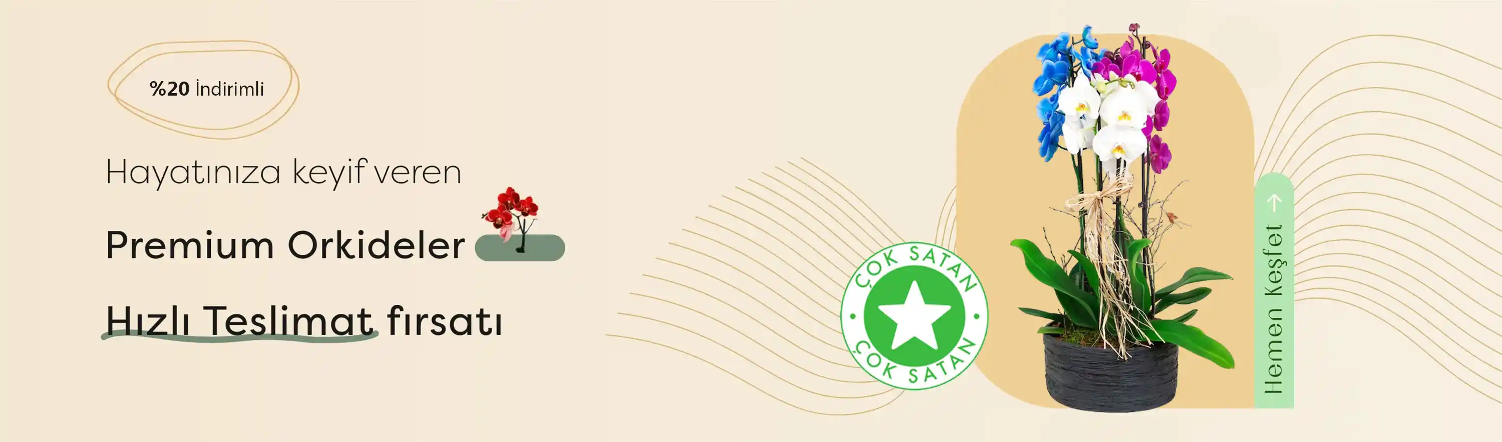 Tarz Çiçeklerle Dekorasyonda Doğal ve Şık Dokunuşlar İçin Uygun Seçenekler ve İpuçları