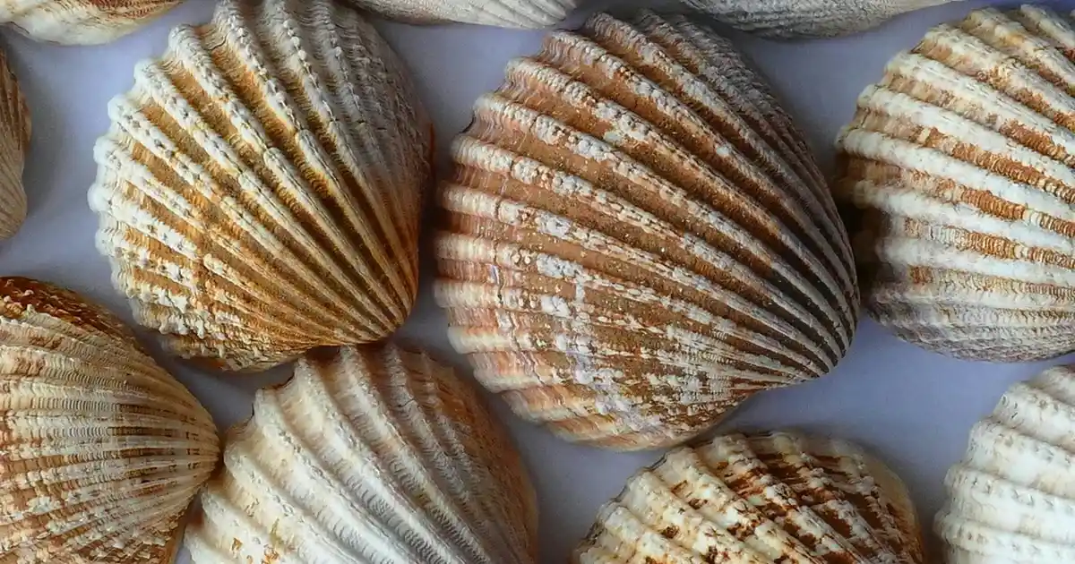 Tekli Çiçek Dekorasyonunda Sadeliğin ve Şıklığın En Güzel Yolu