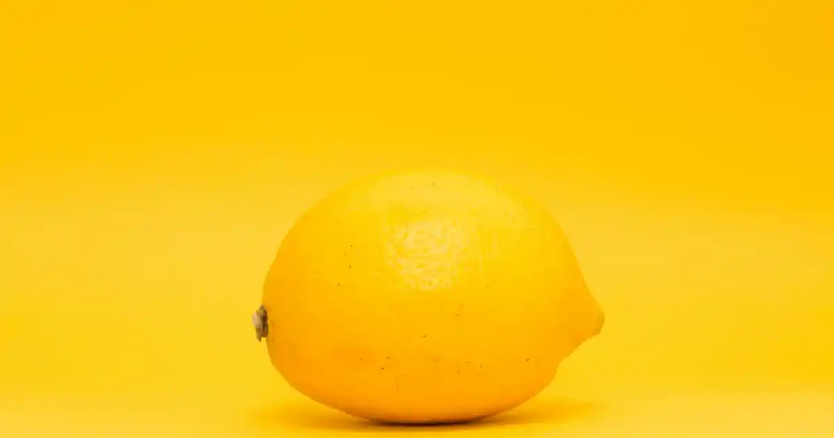 Tekli Koltuk Kılıfı Seçimi ve Dekorasyonda Şıklık Sağlama Rehberi