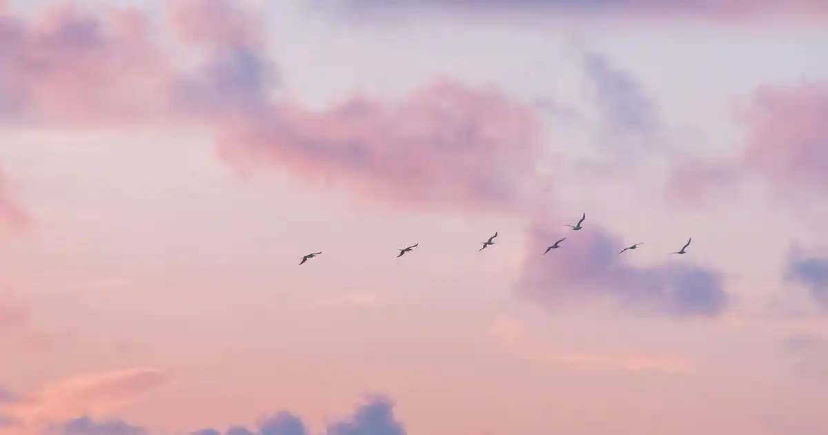 Televizyon Battaniyesi ile Dekorasyonda Şıklık ve Konforun Bir Arada Sunulması