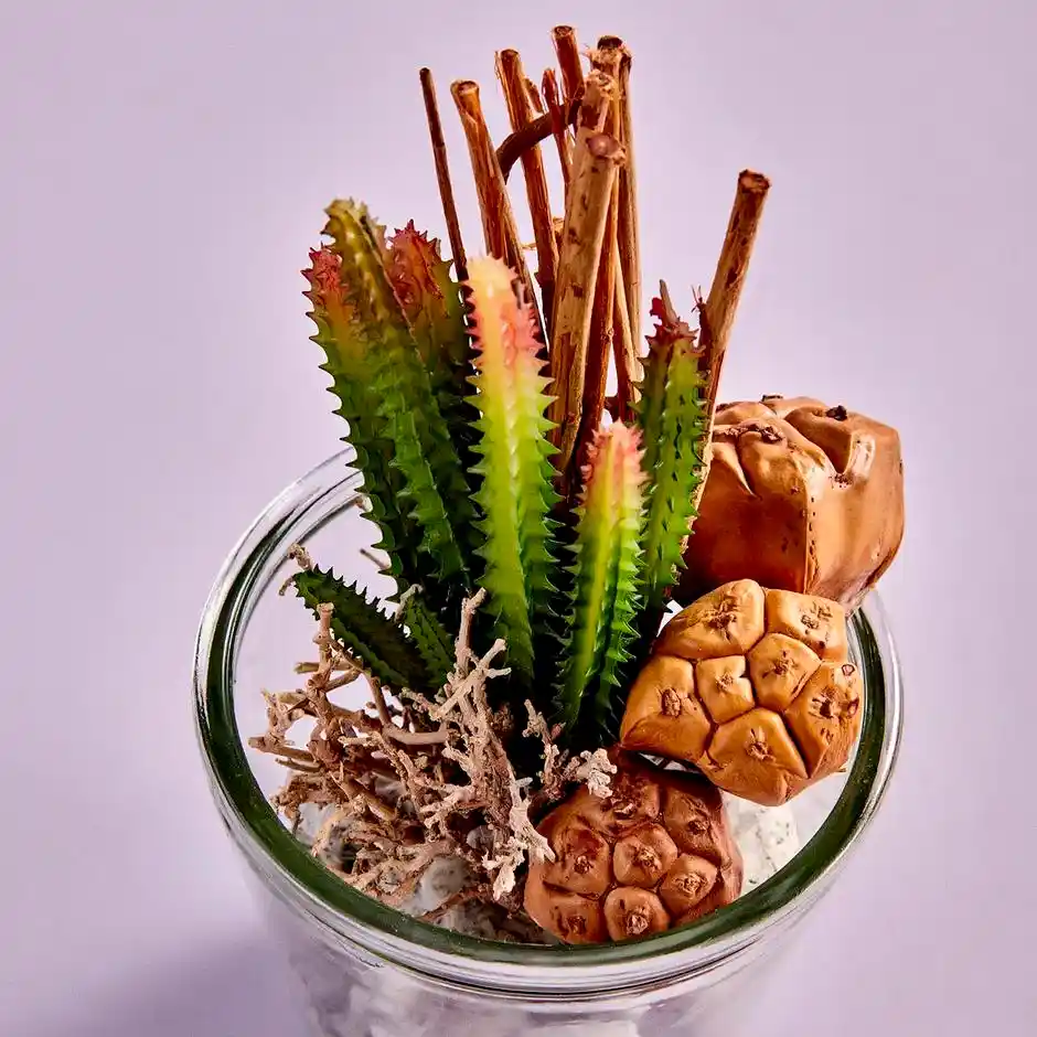 Teraryum Saksı Nedir ve Dekorasyonda Kullanım İpuçları