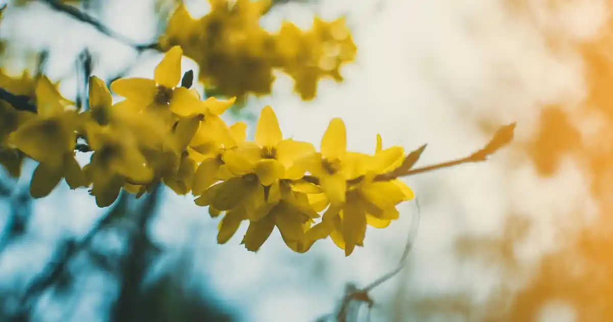 Tığ İşi Kırlentlerle Dekorasyonunuzu Yenileyin ve Sıcak Bir Atmosfer Oluşturun